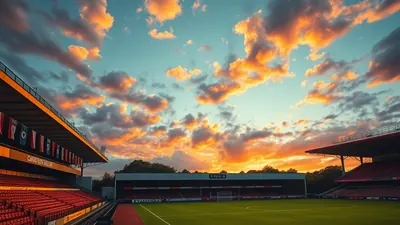 Jermain Defoe resigns as Woking manager after 116 days
